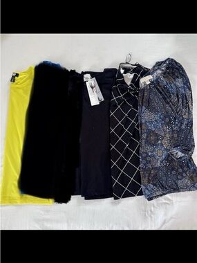 Women’s Large Blouse Bundle NWT EUC